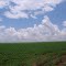 Cadastro de Compromisso Socioambiental - Fazenda San Antônio - Cadastrada desde 2009