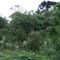 Área antes do pedágio de Farroupilha