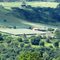 Propriedade rural - videiras
