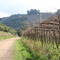 Caminhos da Colônia, Caxias do Sul