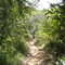 Paseo en BTT por Camaçari