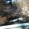 Stream Flood