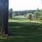 The International Golf Club Pines Course