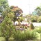 Praça Principal de  Ipiabas