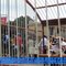 Liberdade e prisão
