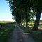 Mayflower off road