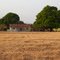 Casa da Fazenda - Palestina / Macaubinha - SP