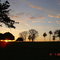 Pôr do Sol Fazenda Canoas Sitio Boa Esperança - D.Pereira- Palestina-sp, antes da invasão da cana