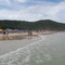 Mariscal1