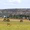 FOTO: Eder Divino de Souza | Twitter: @ederxtreme | Granja Mãe Rainha. Baú Velho ao fundo.
