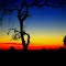 Twitter: @ederxtreme | Pôr do sol visto da Região da "Boca da Mata". Foto: Eder Divino de Souza.