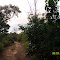 Estrada de Acesso ao Baixão