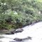 Cachoeira do Muchim