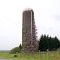 Old silo with Wistteria growing on side---st
