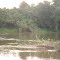 Rio do Norte, divisa de Boa Esperança x Nova Venécia