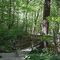 Foot Bridge, Sourland Mountain, Montgomery, NJ