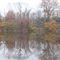 Reflection in Pond