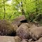 2012-06-09 Boulders of Roaring Brook