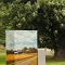 "On Cider Mill Road" Traffic Control Box