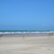 Burros? Vamos á praia