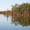 Reflexo das Garcas na agua -rio paranaiba-MT