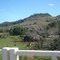 Oeste Catarinense