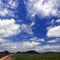 Na fazenda