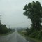 Rainy Road near Livonia