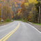 Fall Colors
