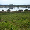 Lagoa Vermelha