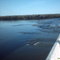 Rio Tocantins-Peixe-TO