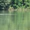 Rio Tocantins