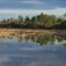 Marsh at the Hungryland Wildlife & Environmental Area