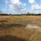 Dry season - Hungryland Slough (looking west)