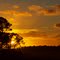 Golden Sunrise