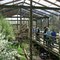 Ohio Bird Sanctuary Aviary