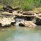 Piscinas Naturais - Xumina/Rss/Normandia/Roraima