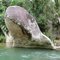 Foto: Rio Palmital - Itaóca