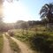 Sentinela do Sul - R.S 05/2011