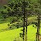 Paisagem campestre, entre Campos do Jordão (SP) e Piranguçu (MG), Brasil.