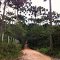 Estrada de Vila Maria/ Serranos, altura do KM 7 sentido Piranguçu MG.