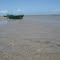 Paraiso 3