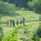 Terra Rasgada www.taefit.com.br
