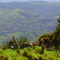 Panoramica de Frontino