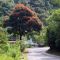 Carretera a Uraba, Cañasgordas Antioquia