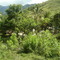 Estadero San Miguel(El rio), sitio turistico en Ituango