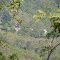 Paisaje de Ituango