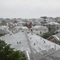 Forest Oaks Snow