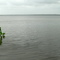 Ciénaga de La Marimonda
