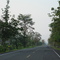 Carretera Panamericana  Medellin Uraba